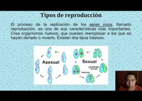 La función de reproducción | Recurso educativo 782779